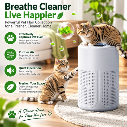 🍃Quiet Air Purifier – Multi-Filter Air Cleaner for Home & Bedroom