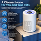🍃Quiet Air Purifier – Multi-Filter Air Cleaner for Home & Bedroom