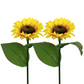 🌻Sunflower Solar Garden Lights, Auto On/Off Long Lasting IP65 Waterproof LED Stake Lights for Patio Yard Pathway Decoration ✨