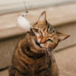 🔥HOT SALE 50%OFF🐱 Keep Your Cat Happy & Active All Day 🐦✨