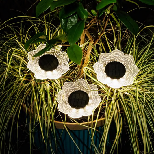 🌤️Solar-Powered Waterproof Outdoor Decorative Light✨
