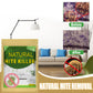 ⏳LAST DAY SALE ONLY $14.99!!🌿🛡️ The US’s #1 Natural Mite Control Sachet– Vetted by Allergy US • 100% Chemical-Free • Safe for Babies, Pets & Asthma Sufferers 🛏️✨