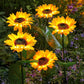 🌻Sunflower Solar Garden Lights, Auto On/Off Long Lasting IP65 Waterproof LED Stake Lights for Patio Yard Pathway Decoration ✨