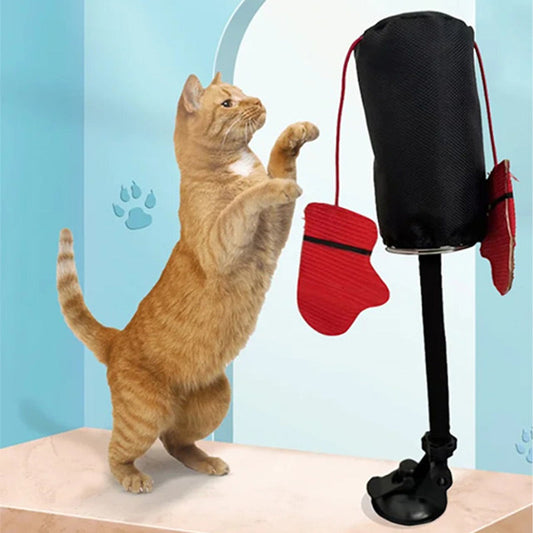 Interaktives Katzenspielzeug zum Schlagen🥊