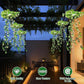 ☀️ 50% OFF – Solar Ivy Lights with Artificial Leaves – Waterproof, 8 Lighting Modes & Flexible – Perfect for Gardens, Balconies & Wall Decoration 🌿💡✨