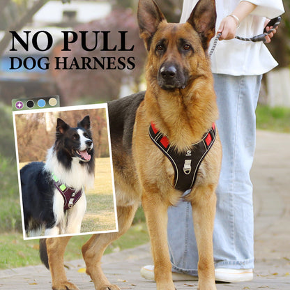 🐶 LED No-Pull Dog Harness Kit with Leash – Safer, More Comfortable Walks Day & Night