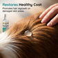 🐾✨Pet Wound and Skin Care Spray for Dogs and Cats - Soothe Cuts & Scrapes In Seconds 🐶💚
