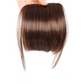 Seamless 3D Clip-In Bangs Hair Extensions