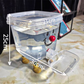 💧Pet Water Dispenser with Large Capacity 🦮 5L Extra-Large Pet Fountain — Great for 3+ Pets | Gravity-Fed | Non-Slip Base
