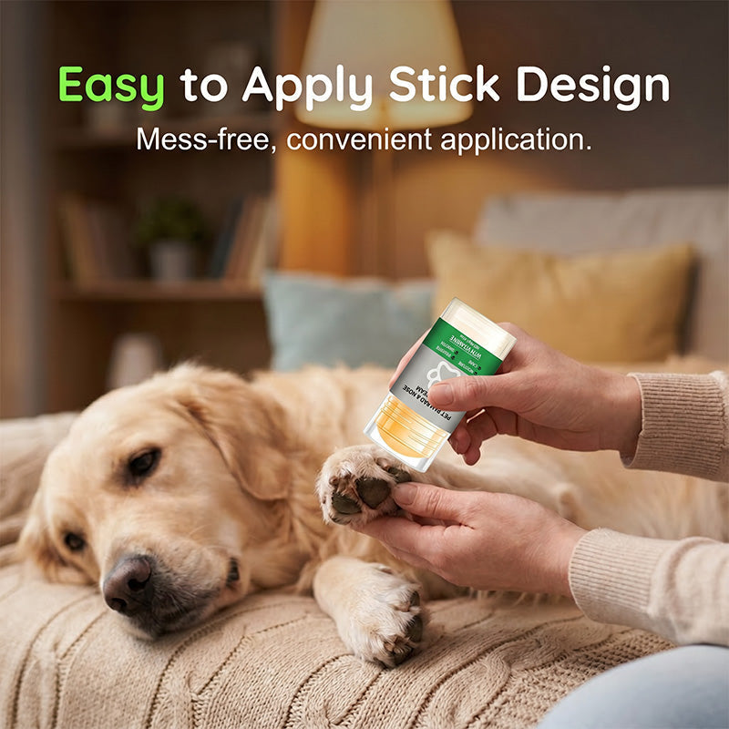 Paw balm for dogs and cats