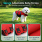 🐕 50% OFF NOW! 🛡️ High-buoyancy dog life jacket – professional life jacket, ergonomic fit & tear-resistant material – perfect for water adventures 🌊
