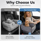 Secure Travel Dog Seat