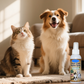 🐾50% OFF NOW! Gentle Pet Dental Cleaning Spray‑ Vet‑Formulated Tartar Remover Spray for Dogs & Cats, Safe Oral Care Solution to Eliminate Bad Breath & Reduce Plaque