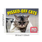 🐱 Funny Cat Calendar – 12 Months of Sassy Cat Humor