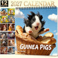 🎁🎄Christmas Sale 50% OFF!💞50K+ SOLD!⏳✨Adorable Guinea Pig Wall Calendar